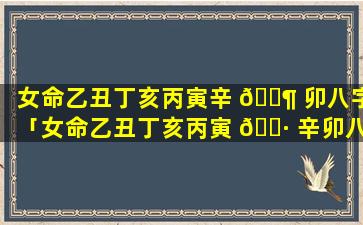 女命乙丑丁亥丙寅辛 🐶 卯八字「女命乙丑丁亥丙寅 🌷 辛卯八字解析」